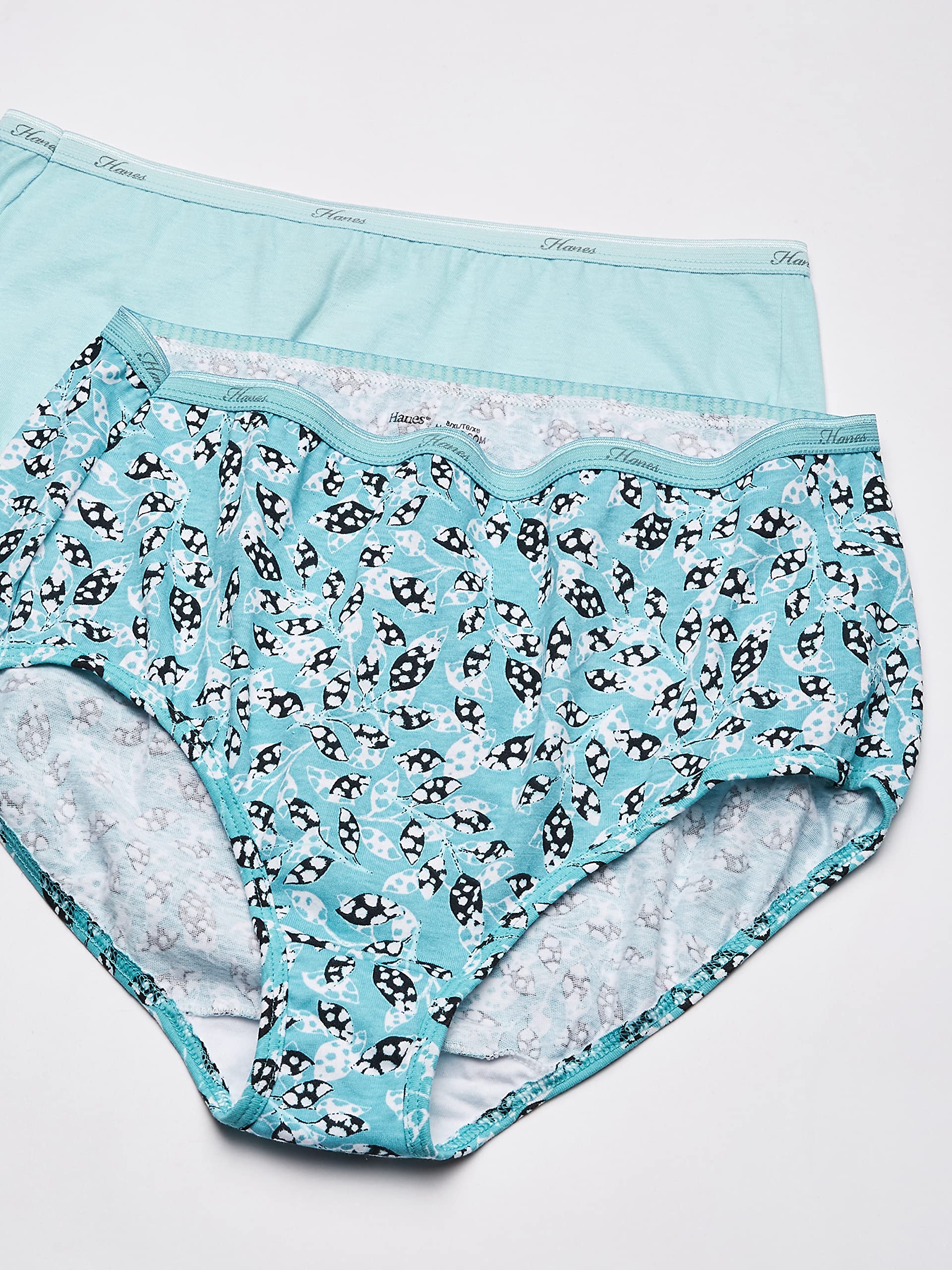 Hanes Women's Underwear Brief Pack, 10-Pack, Full-Coverage Brief Panties, Moisture-Wicking Underwear for Women